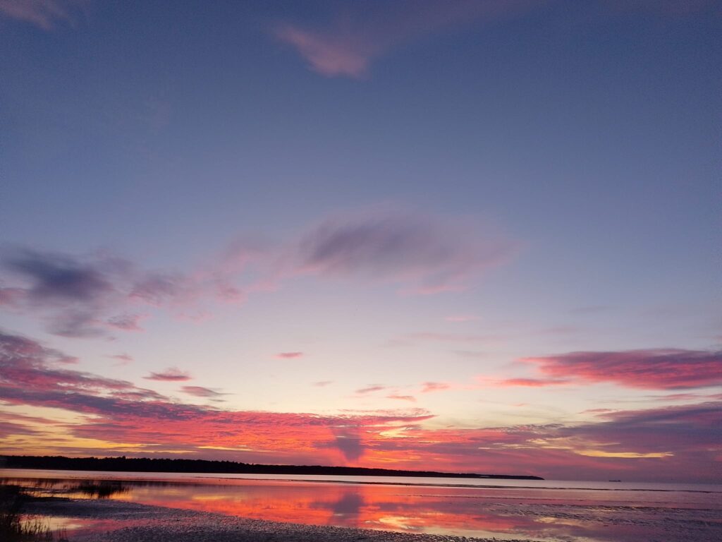 Panustamine laiemas hariduse ökosüsteemis pilt4
